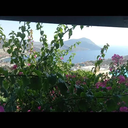 Duplex With Sea View And Great Location